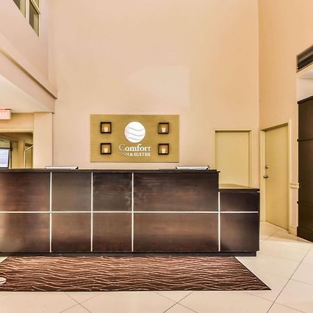 Comfort Inn & Suites Ambassador Bridge Windsor Dış mekan fotoğraf