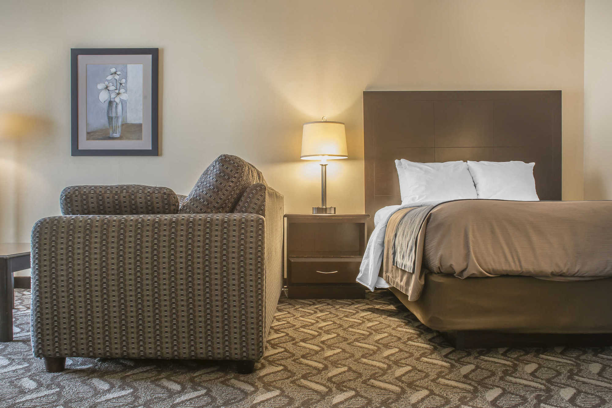 Comfort Inn & Suites Ambassador Bridge Windsor Oda fotoğraf