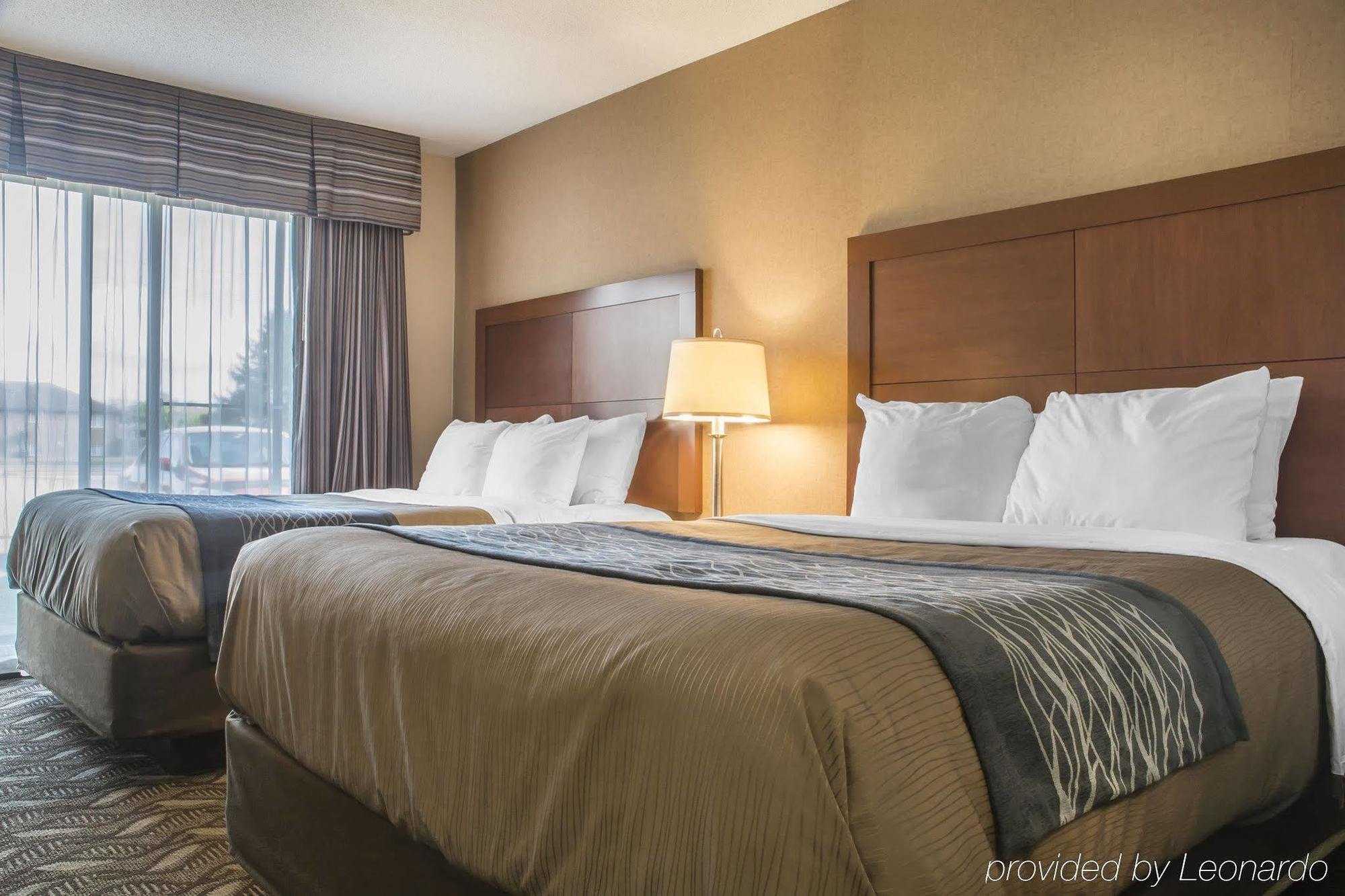 Comfort Inn & Suites Ambassador Bridge Windsor Dış mekan fotoğraf